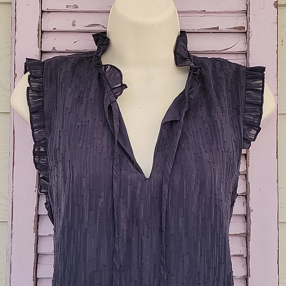 NWT ๐ JOIE Chic Ruffle Sleeveless V-Neck Lined Blouse Top M - Picture 2 of 10